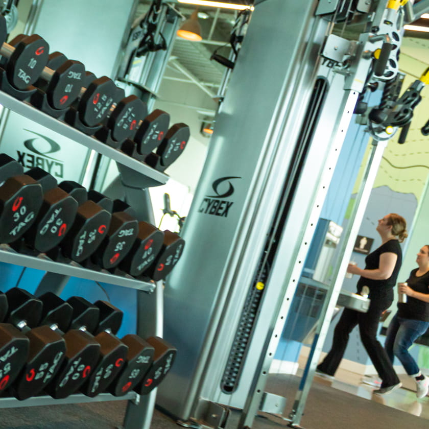 Weight rack in fitness center